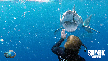 ������� �� �������